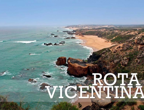 ROTA VICENTINA